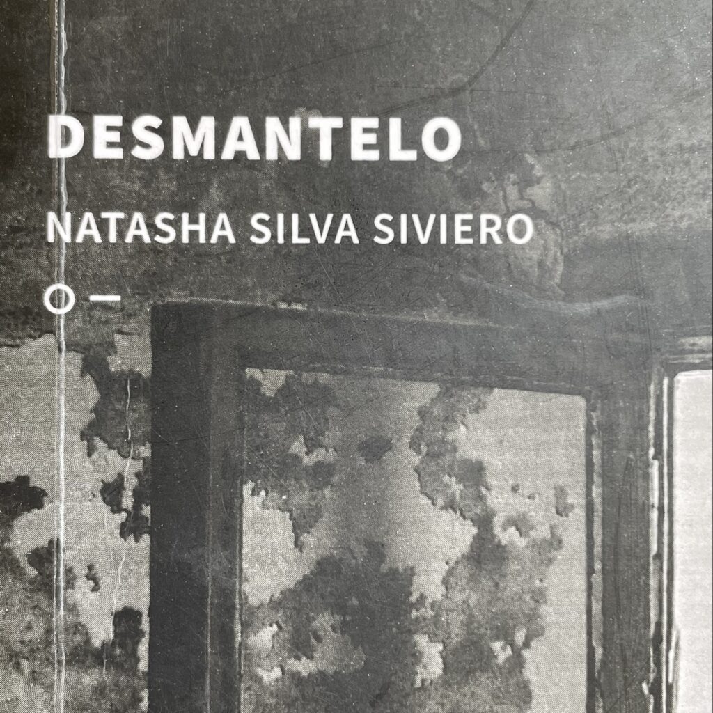 desmantelo natasha silva silvieiro