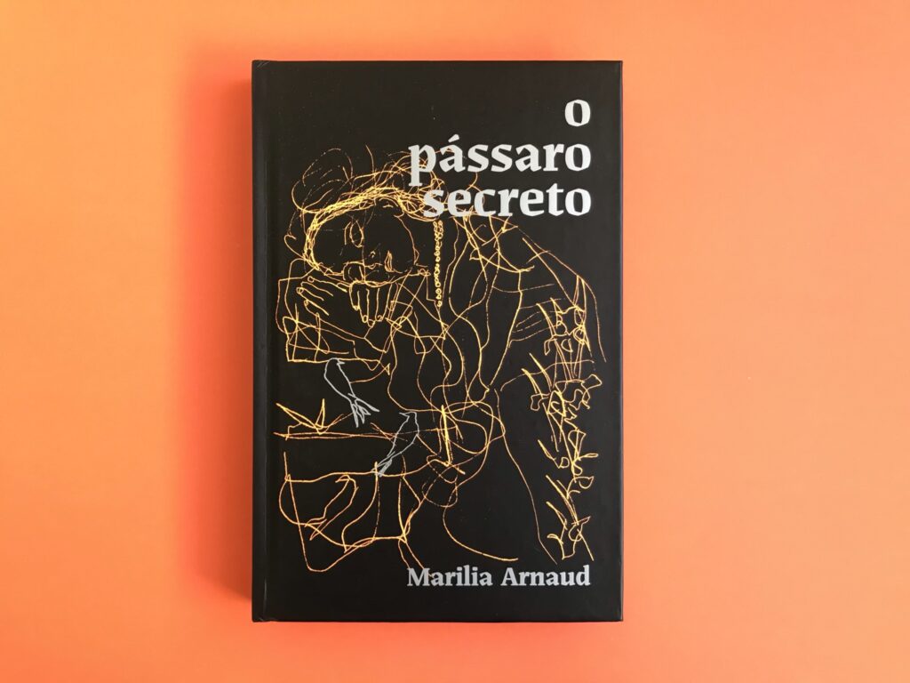 resenha-o-passaro-secreto-marilia-arnaud